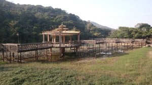 lungjai