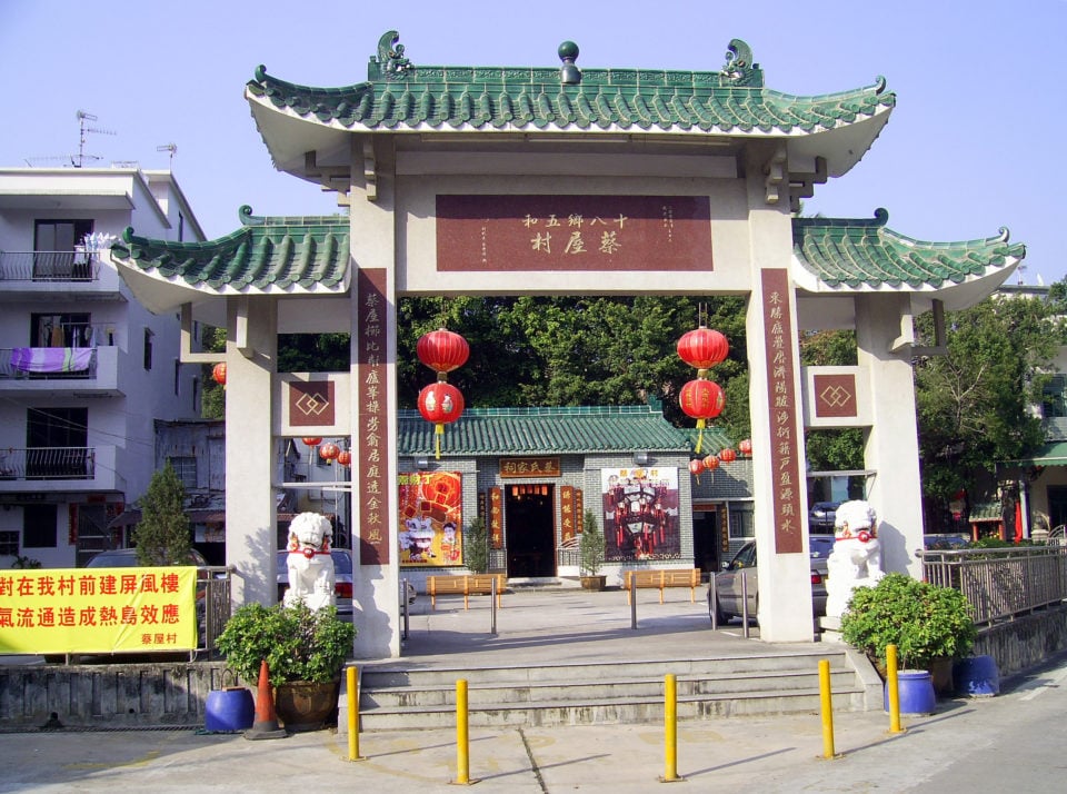 Top 5 PetFriendly Housing Options for Hong Kong Spacious