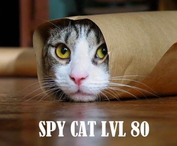 rsz_landlord-meme6