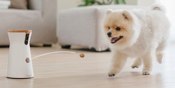 furbo_launch_yjl6vi