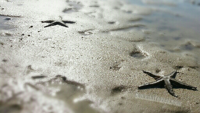 5 Hidden Clean Beaches in Hong Kong